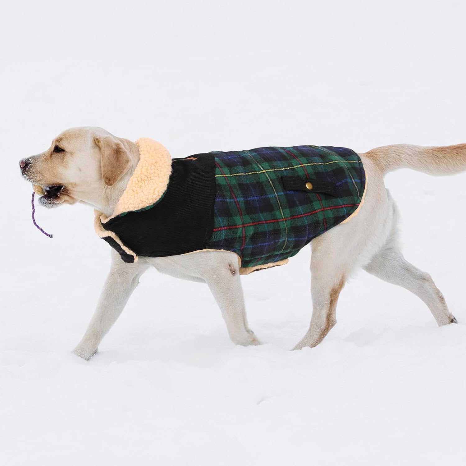 Thumbnail 6 de CITÉTOILE Dog Coat – Warm Fleece-Lined Dog Jacket (Green, XS) for Small & Medium Dogs