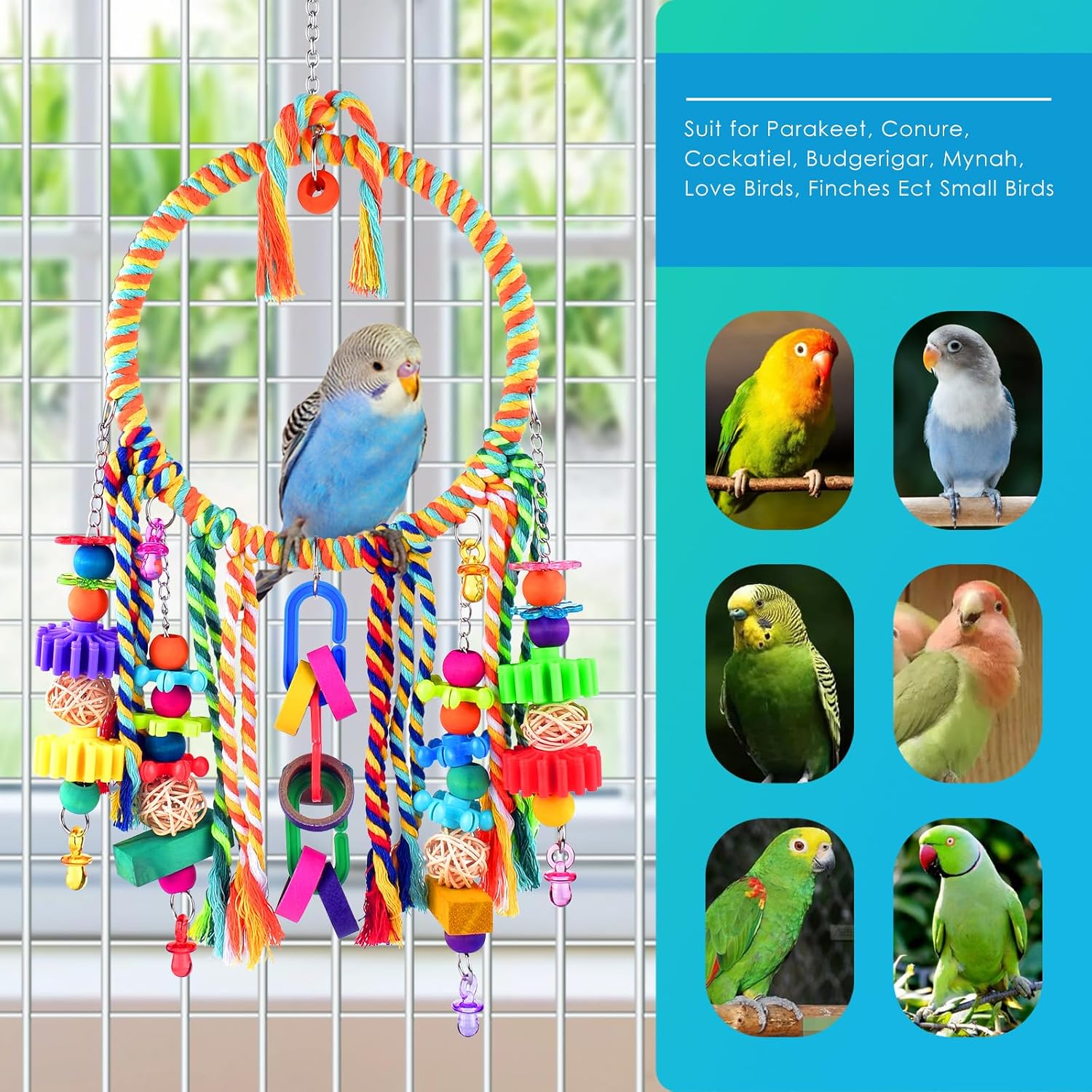 Thumbnail 5 de KATUMO Bird Swing Toy