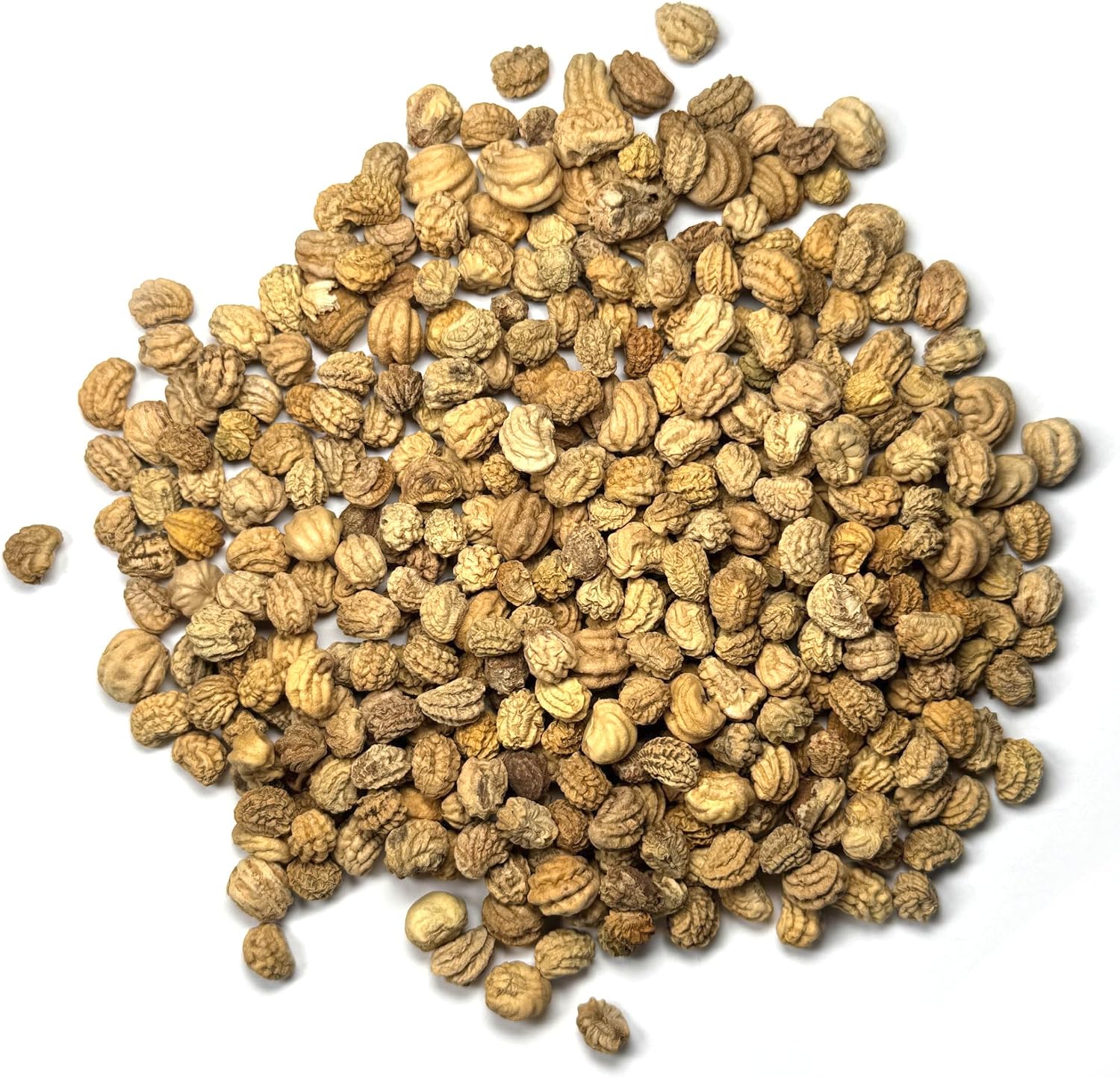 Thumbnail 6 de Seed Needs Jewel Mix Nasturtium Seeds, B09Z76F1WZ, 1.5 oz Heirloom Blend