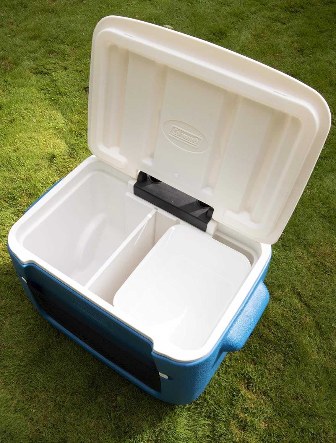 Thumbnail 4 de Coleman 50 QT Poly-lite Ghiacciaia con Rotelle – 47 L