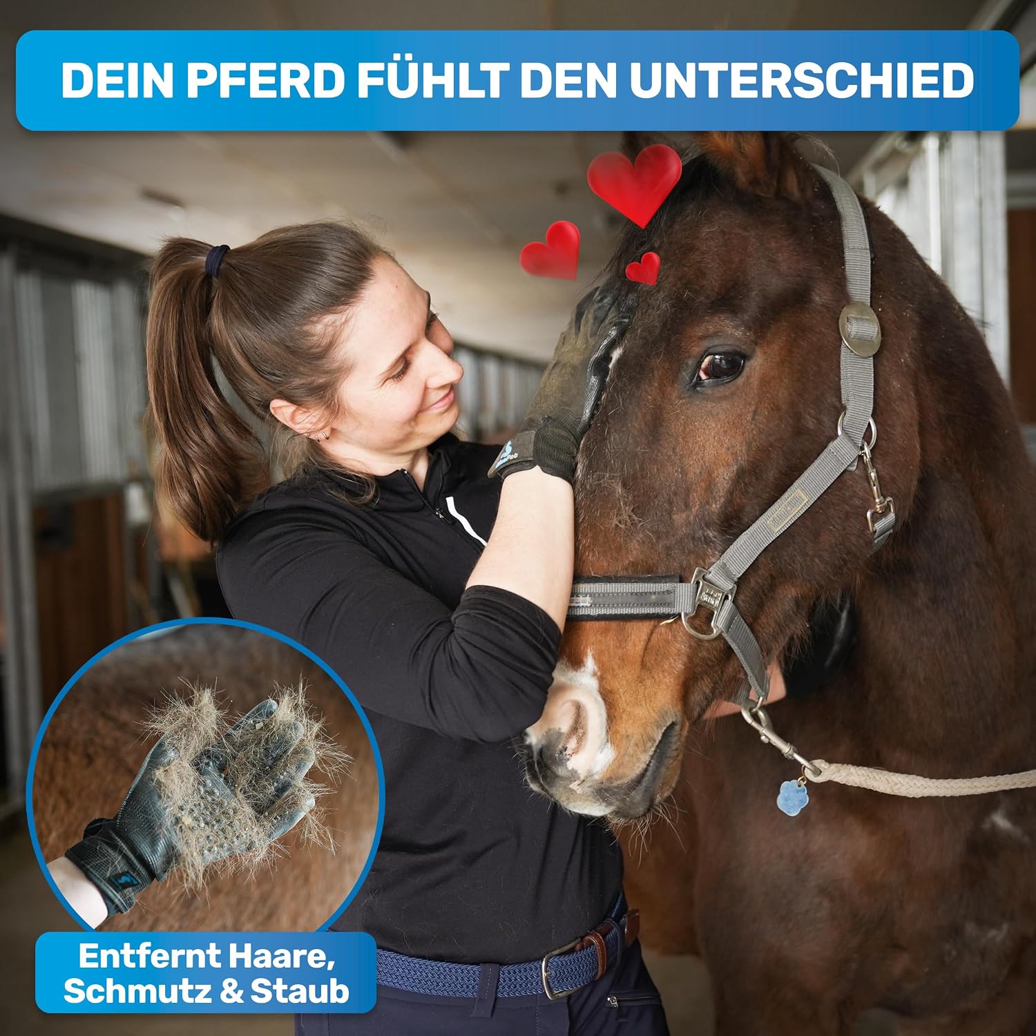 Detalle 2 de BluePet Fellpflegehandschuh für Hund, Katze & Pferd – sanfte Fellpflege ohne lästiges Zupfen