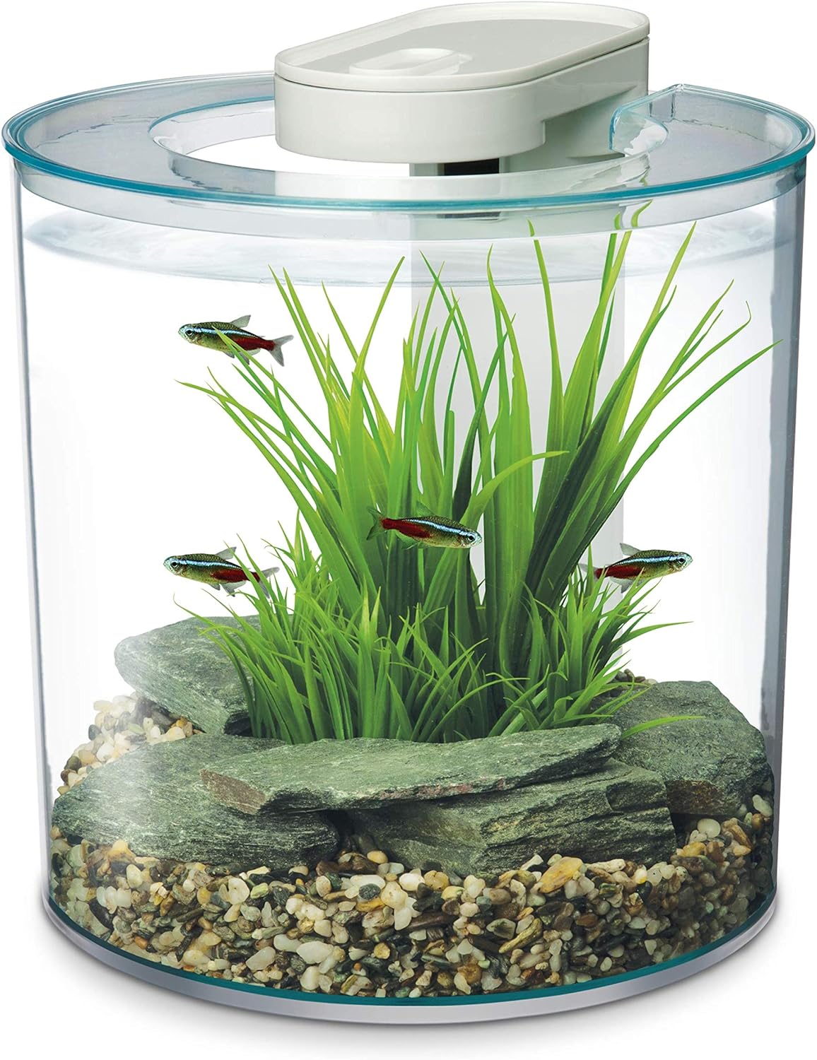 Detalle de Marina 360 Aquarium 10 Litre with Remote Control LED Lighting