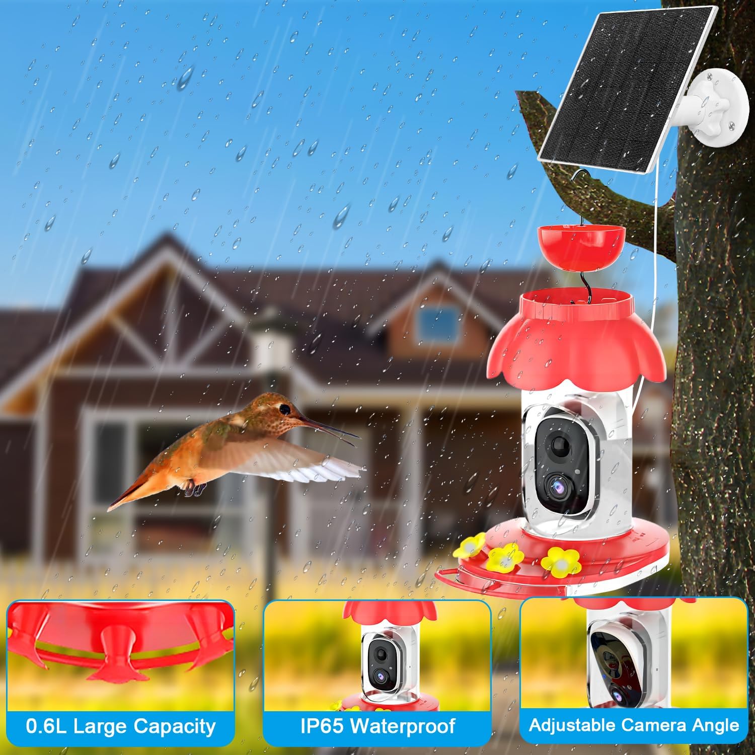 Detalle de Hummingbird Feeder with Camera: Solar-Powered Smart Feeder with AI ID