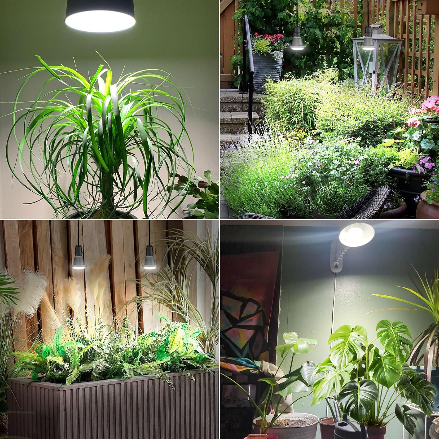 Thumbnail 7 de SANSI Lampara LED de Cultivo 🌱 E27 12W Impermeable