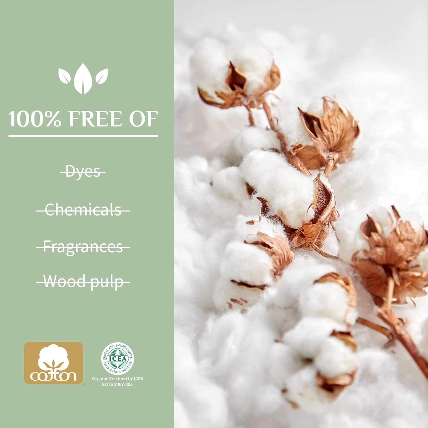Thumbnail 2 de Organyc – Tampons 100% coton bio certifié SUPER (1 boîte de 16 tampons)