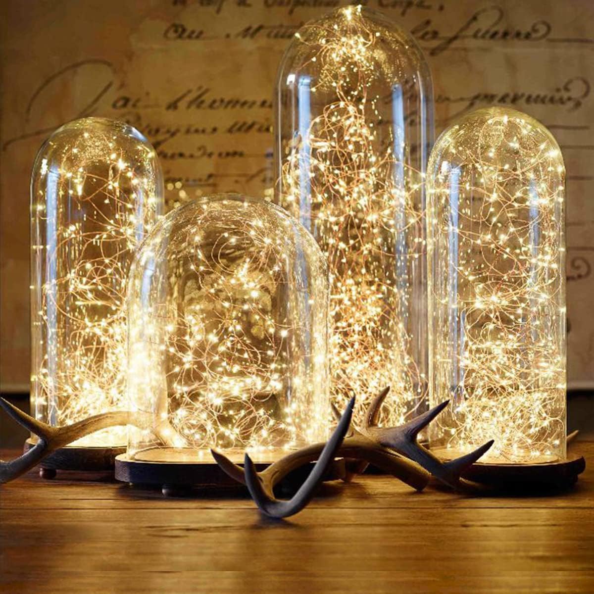 Detalle 1 de Lepro 4300017-WW-US Fairy Lights, 66 ft, 200 Warm White LEDs, IP65