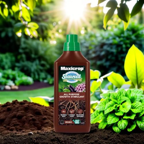 Thumbnail 2 de Maxicrop All Purpose Plant Growth Stimulant, 1L – Natural Seaweed Based Biostimulant