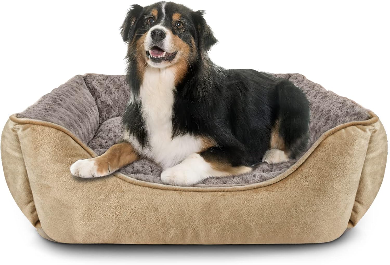 Thumbnail 6 de JOEJOY Dog Bed Extra Large – Washable Anti-Anxiety Plush Bed with Non-Slip Base (Grey)
