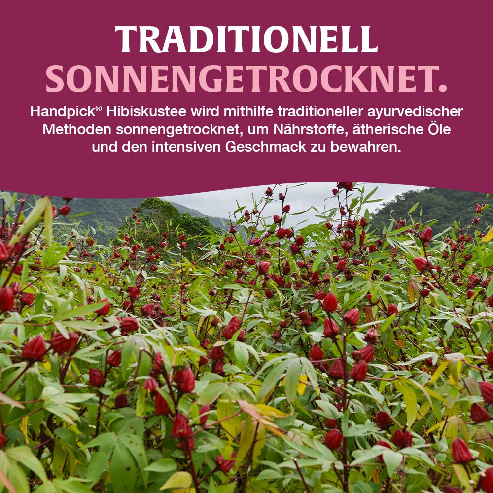 Thumbnail 5 de HANDPICK Hibiskustee – 100 Hibiskusblütentee Beutel, koffeinfrei, aus 100% Hibiskusblüten