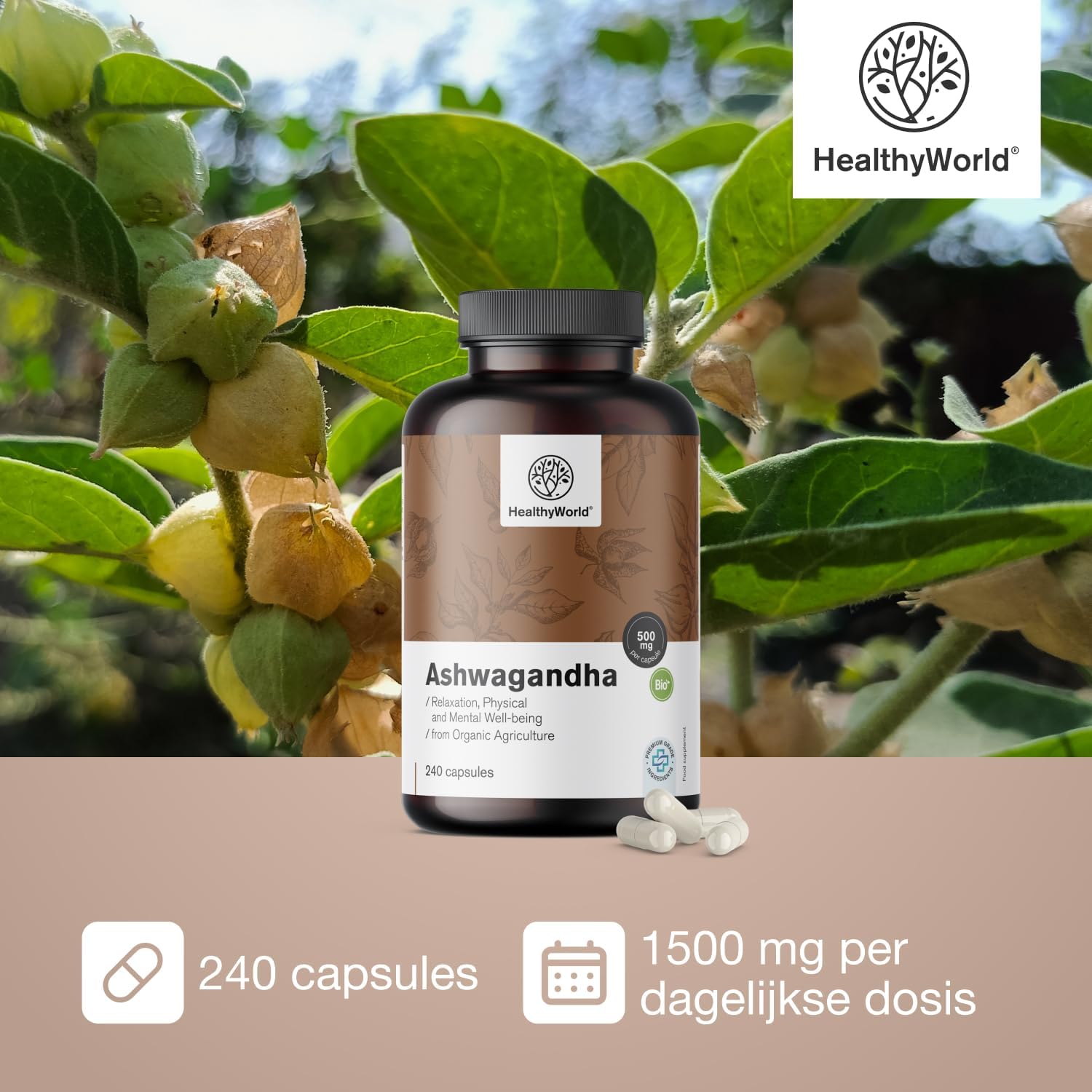 Detalle de HealthyWorld Ashwagandha 500 mg, 240 plantaardige capsules