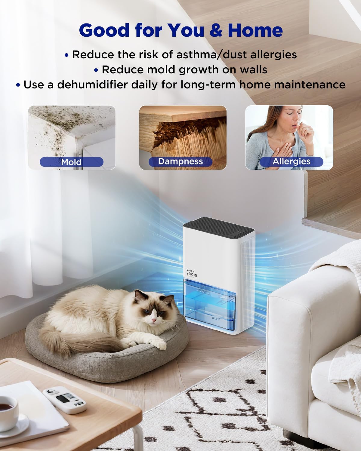 Detalle 2 de EasyAcc Dehumidifier Pro 2000ml