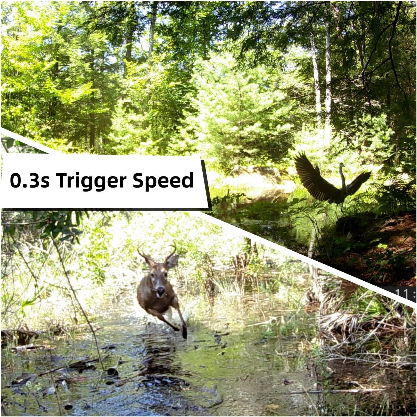 Detalle 2 de WOSODA 2-Pack Trail Cameras (Night Vision, Waterproof, 1080P HD) with 32GB SD Cards