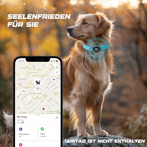 Thumbnail 1 de AirTag Dog Collar Leather with AirTag Holder