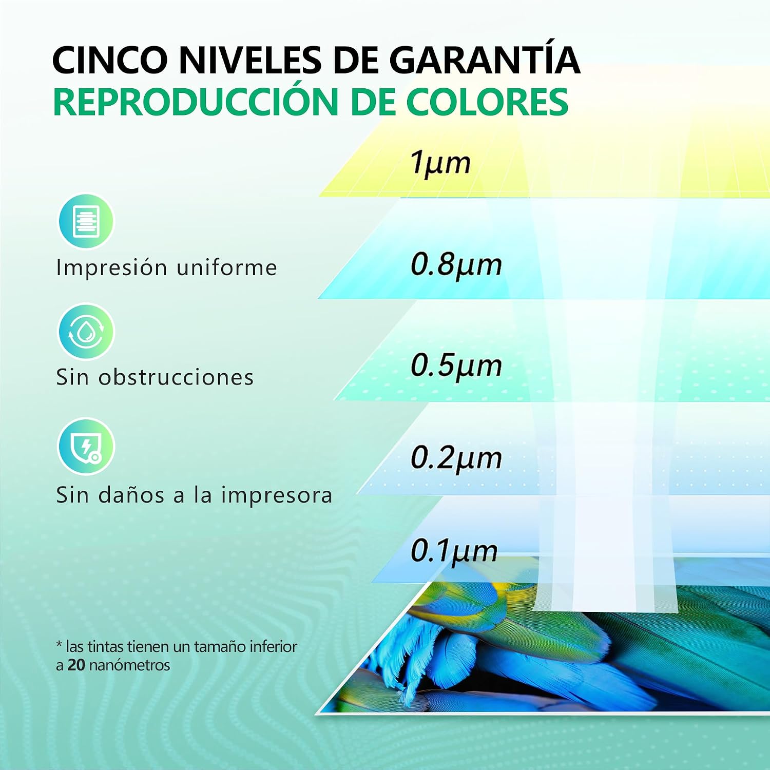 Detalle de NewLift Tinta 305 XL (Negro y Color) para Cartuchos HP 305 XL — Pack 2