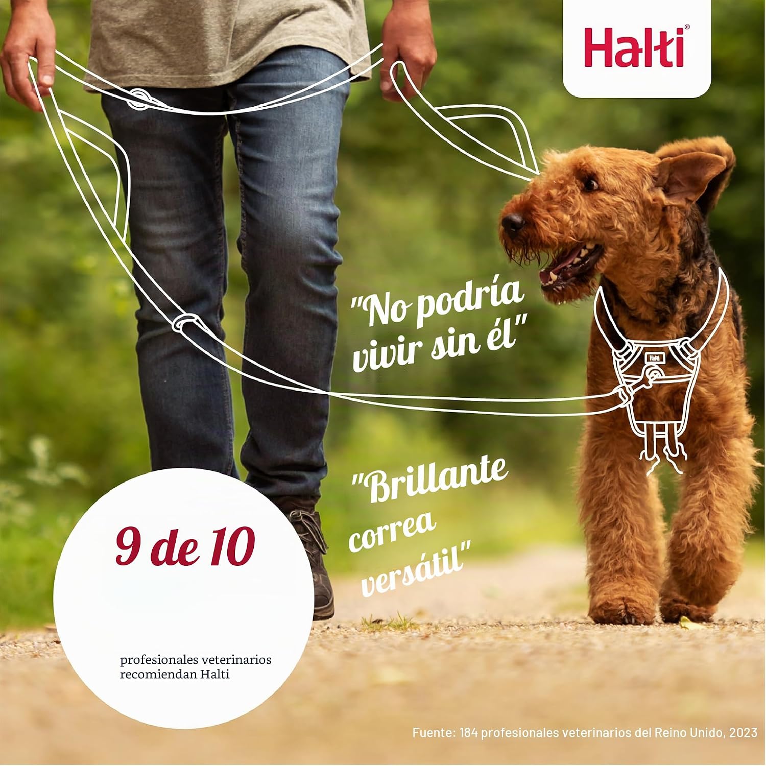 Detalle de Correa de Control para Perros Halti | 2 Metros