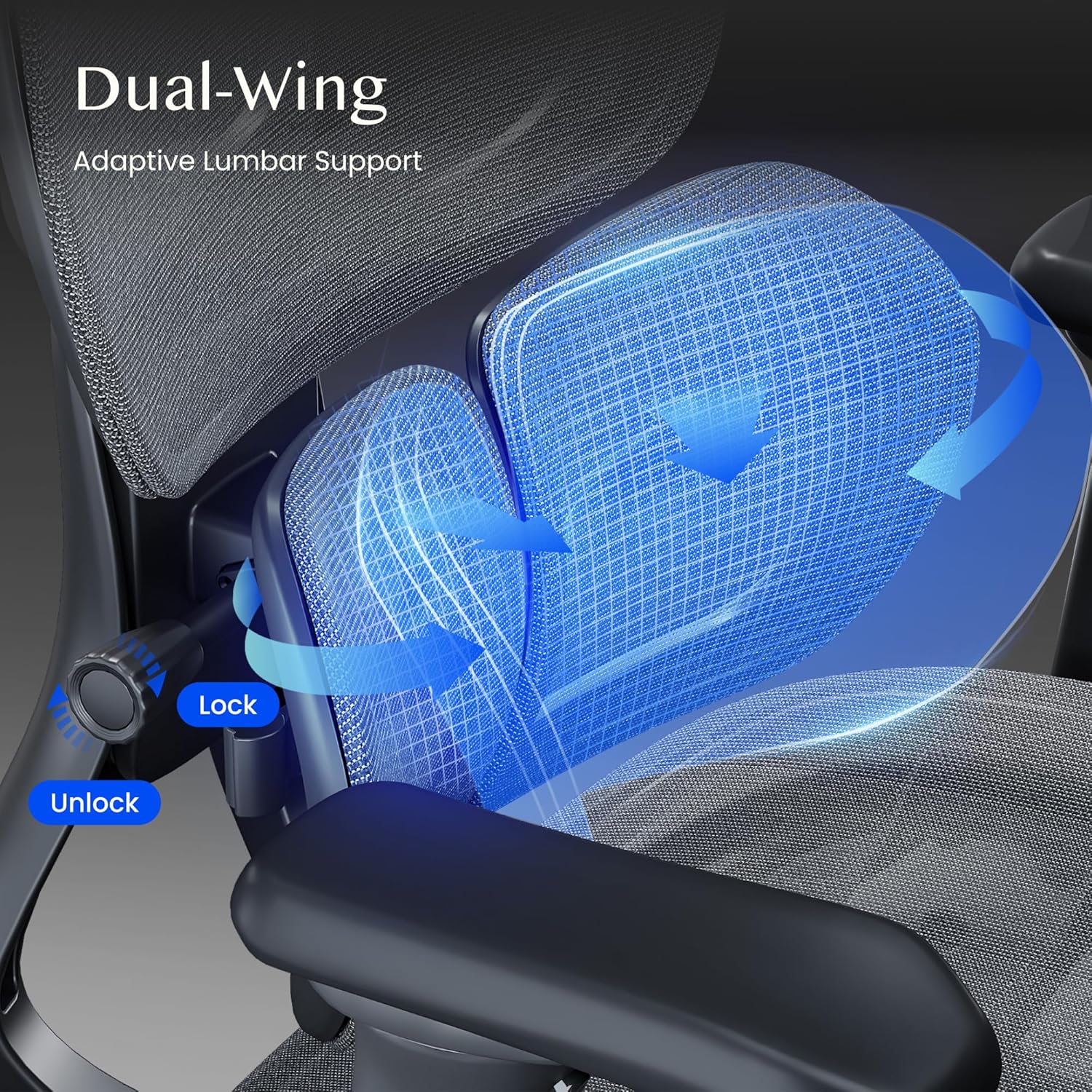 Thumbnail 2 de FLEXISPOT C5 Chaise de bureau ergonomique 3D