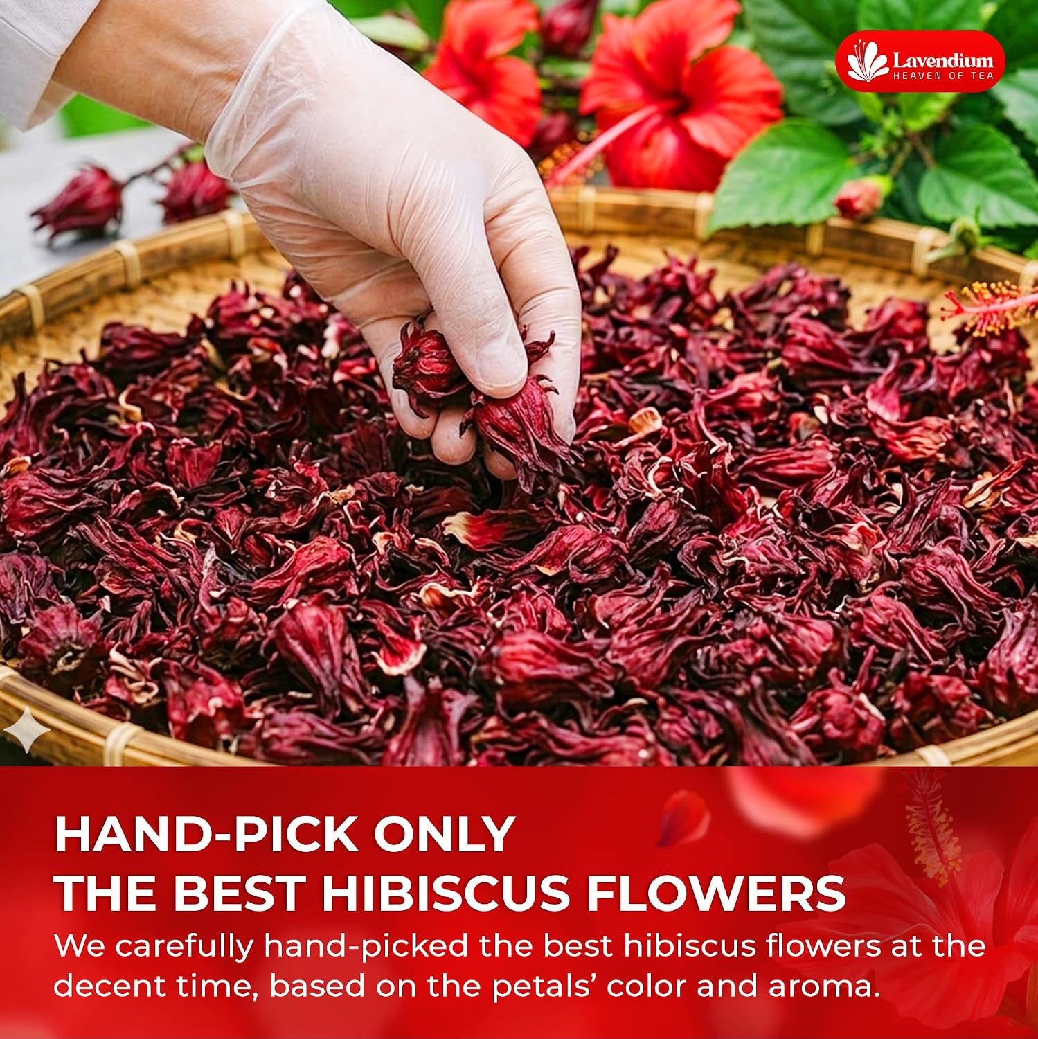 Thumbnail 4 de Lavendium Dried Hibiscus Flowers 32 oz