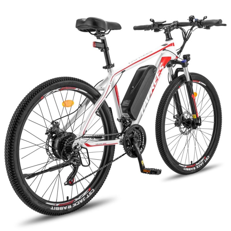 Detalle 2 de Fafrees Hailong One: Bicicleta eléctrica 250W / 468Wh, autonomía hasta 100 km