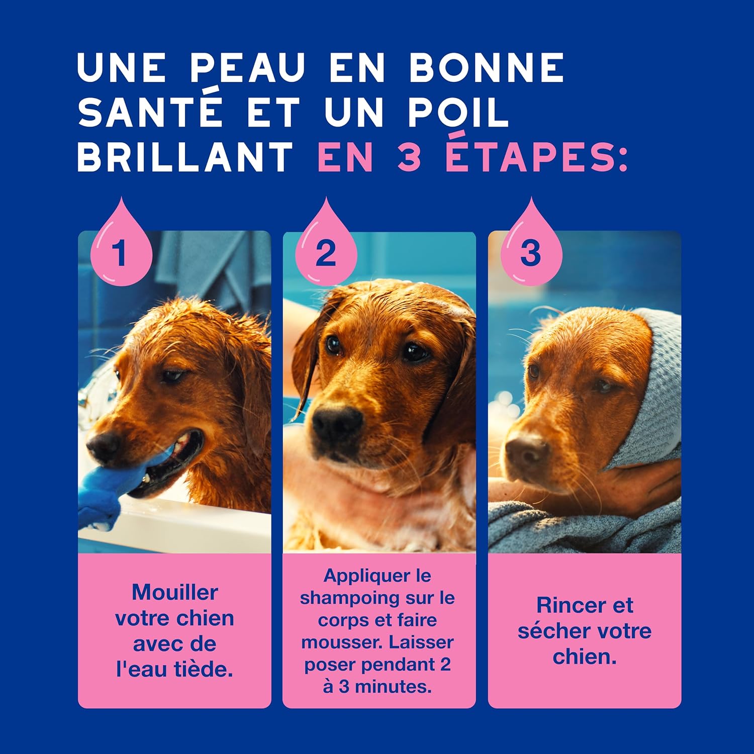 Detalle de Douxo Skin & Coat Spa Shampoing Anti-démangeaisons pour Chien – 250 mL, apaise la peau et laisse le pelage doux