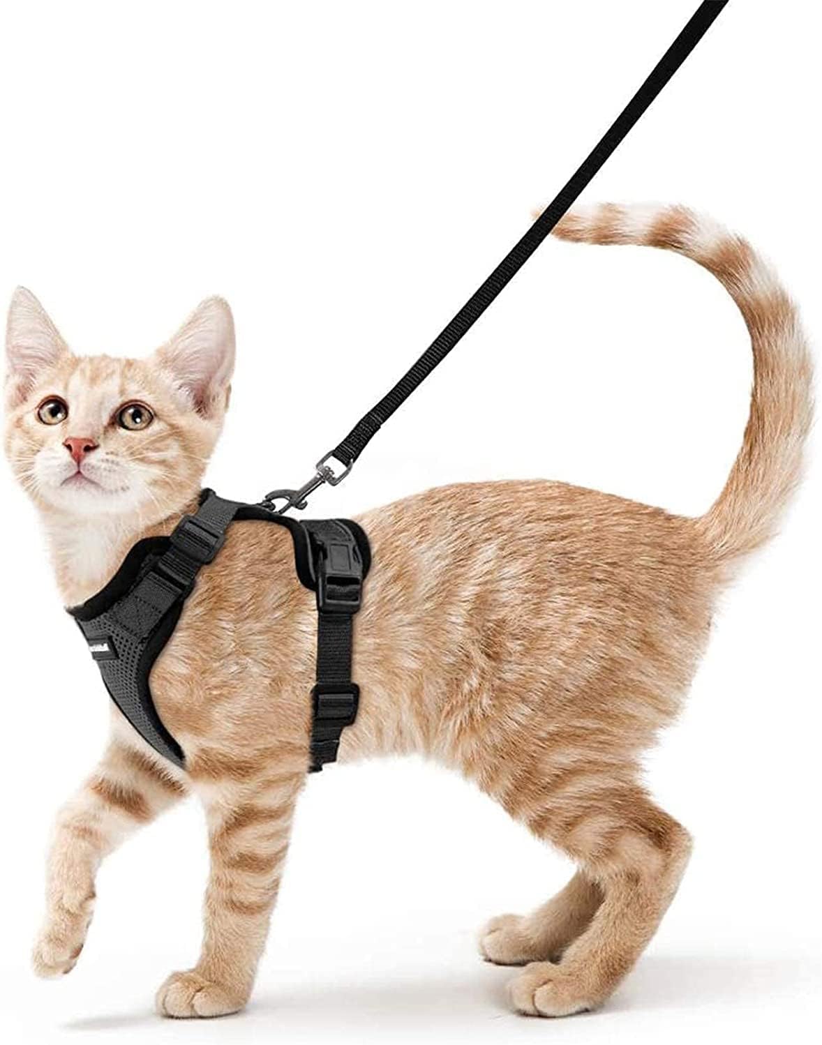 Detalle de rabbitgoo DXMJTZ02SBK19CW Cat Harness and Leash Set, Size S, Black Mesh
