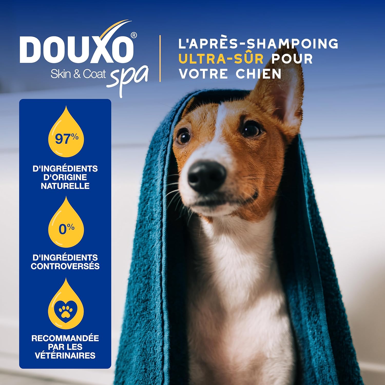 Detalle 2 de DOUXO Skin & Coat Spa – Après-shampoing hydratant Ultra-Safe pour Chien, 250 mL