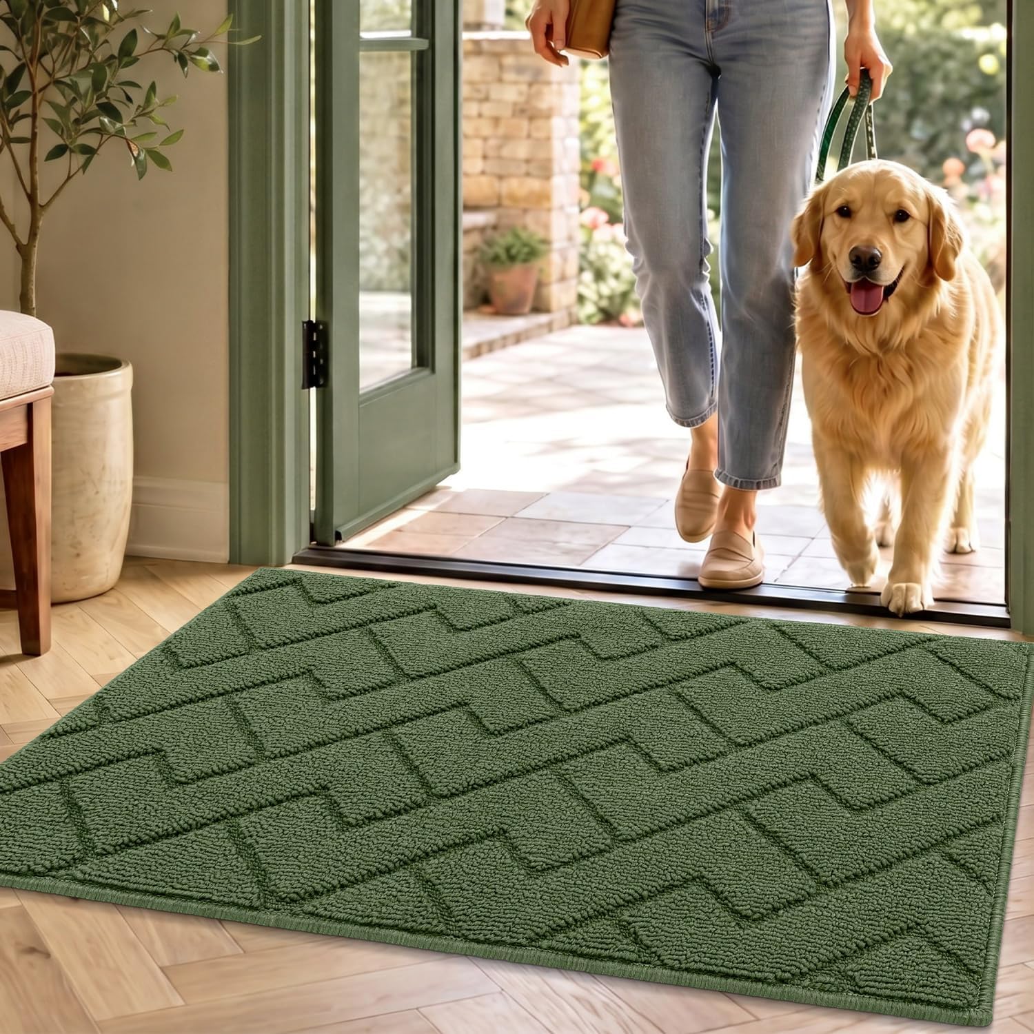 Biscpro Fußmatte Grün 50x80 cm – Innen & Außen, rutschfest & waschbar