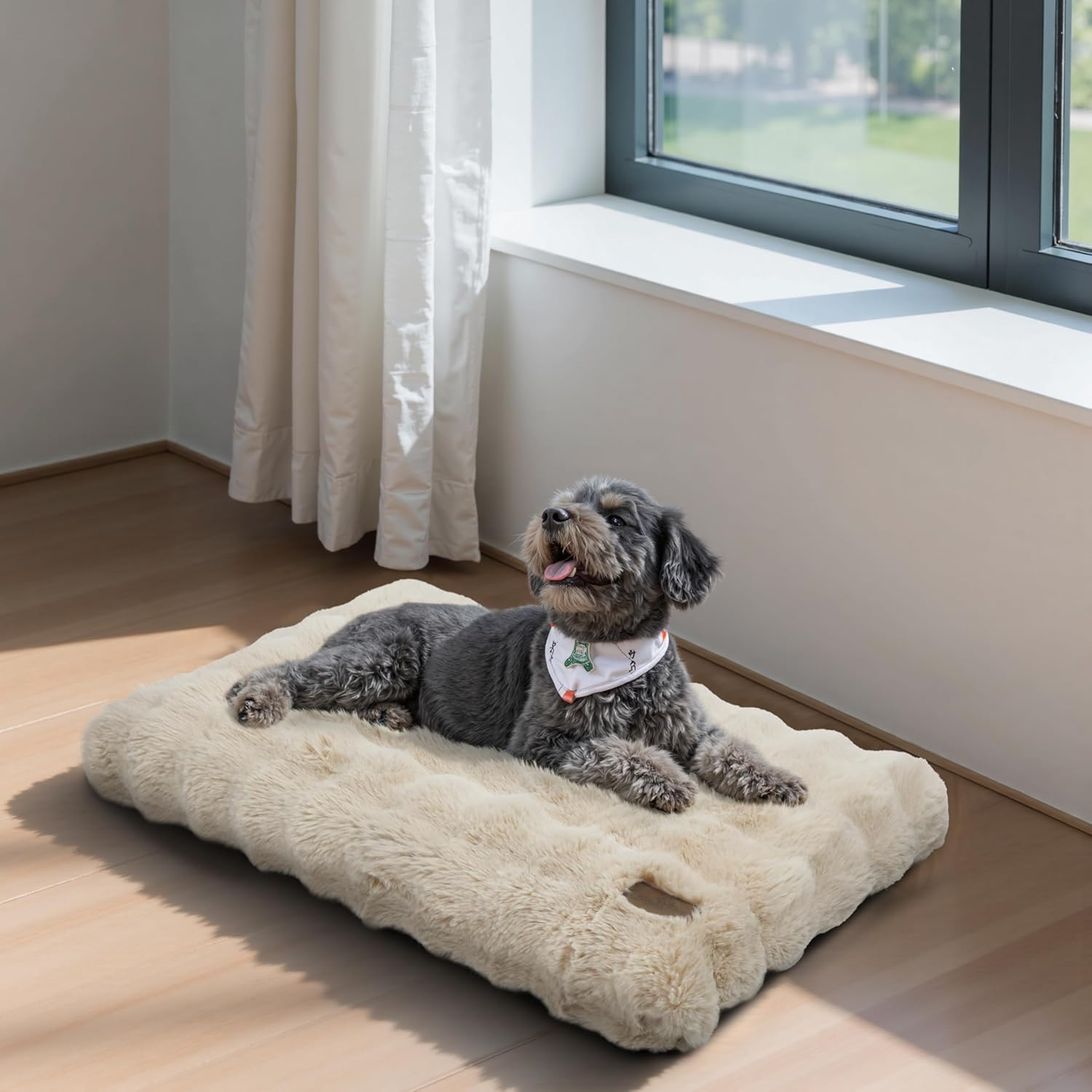 Detalle 2 de BingoPaw Dog Bed Medium 76x51x10 cm