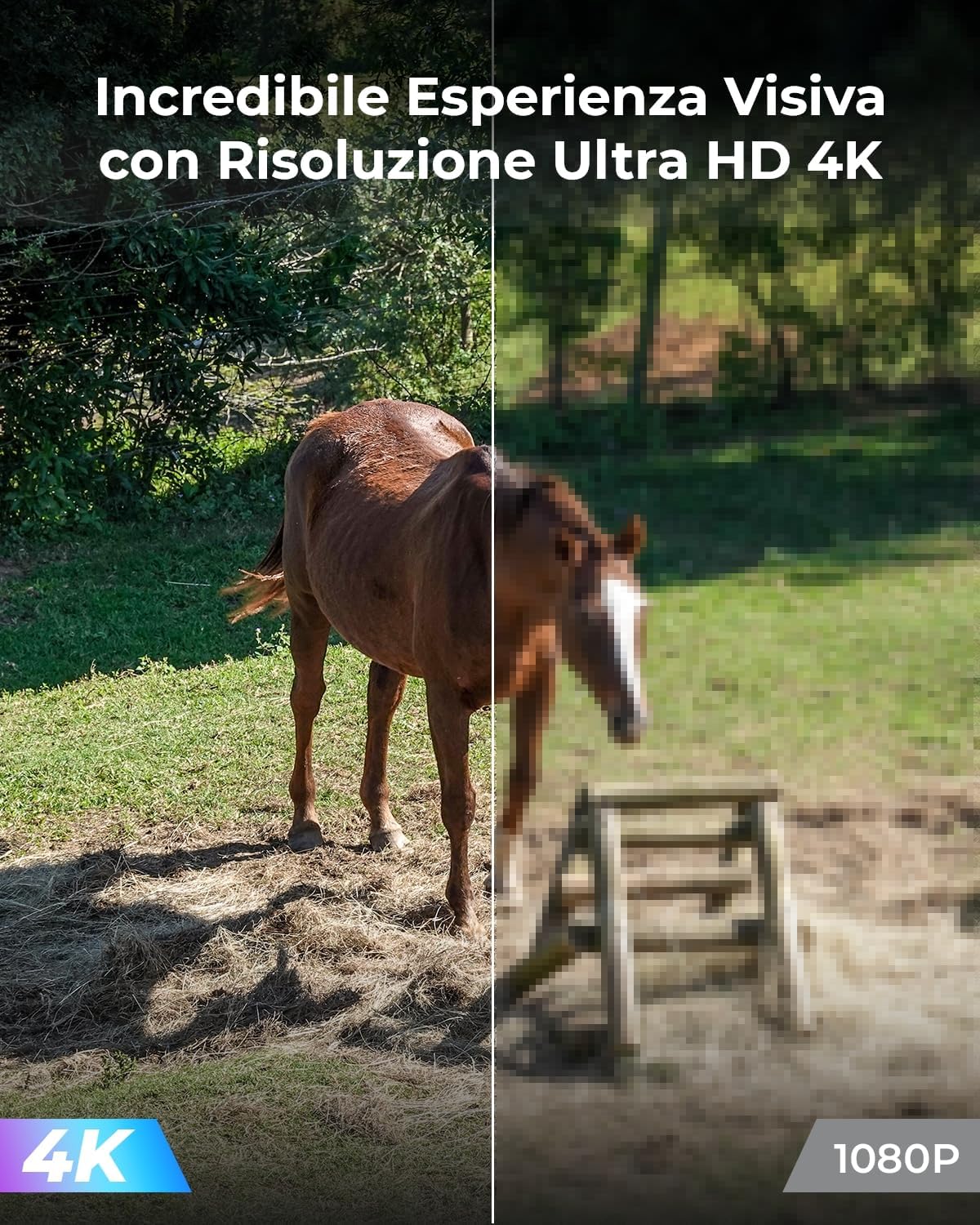 Detalle 2 de Reolink Go PT Ultra 4G/4K: Telecamera esterna senza fili con pannello solare e 360° PTZ
