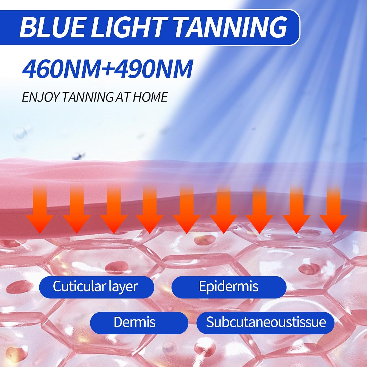 Detalle de Tanning Lamp for Home with Dual-Wavelength Blue Light (460nm & 490nm) — 60W, 4-Head Adjustable Stand