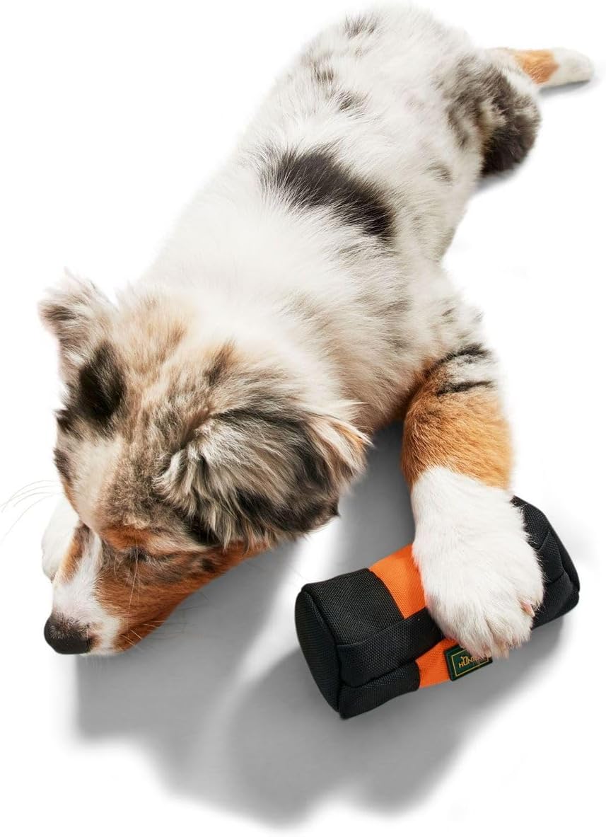 Thumbnail 3 de HUNTER Trainer Snack Dummy – befüllbarer Apportier-Dummy, 15 cm, zahnfreundlich & gepolstert, orange