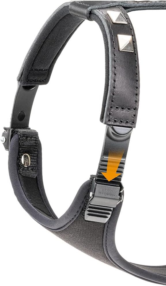 Detalle 2 de Ferplast Giotto Luxor MEDIUM Hundegeschirr aus echtem Leder – Schwarz, Größe mittel (38–46 cm) mit silbernen Nieten