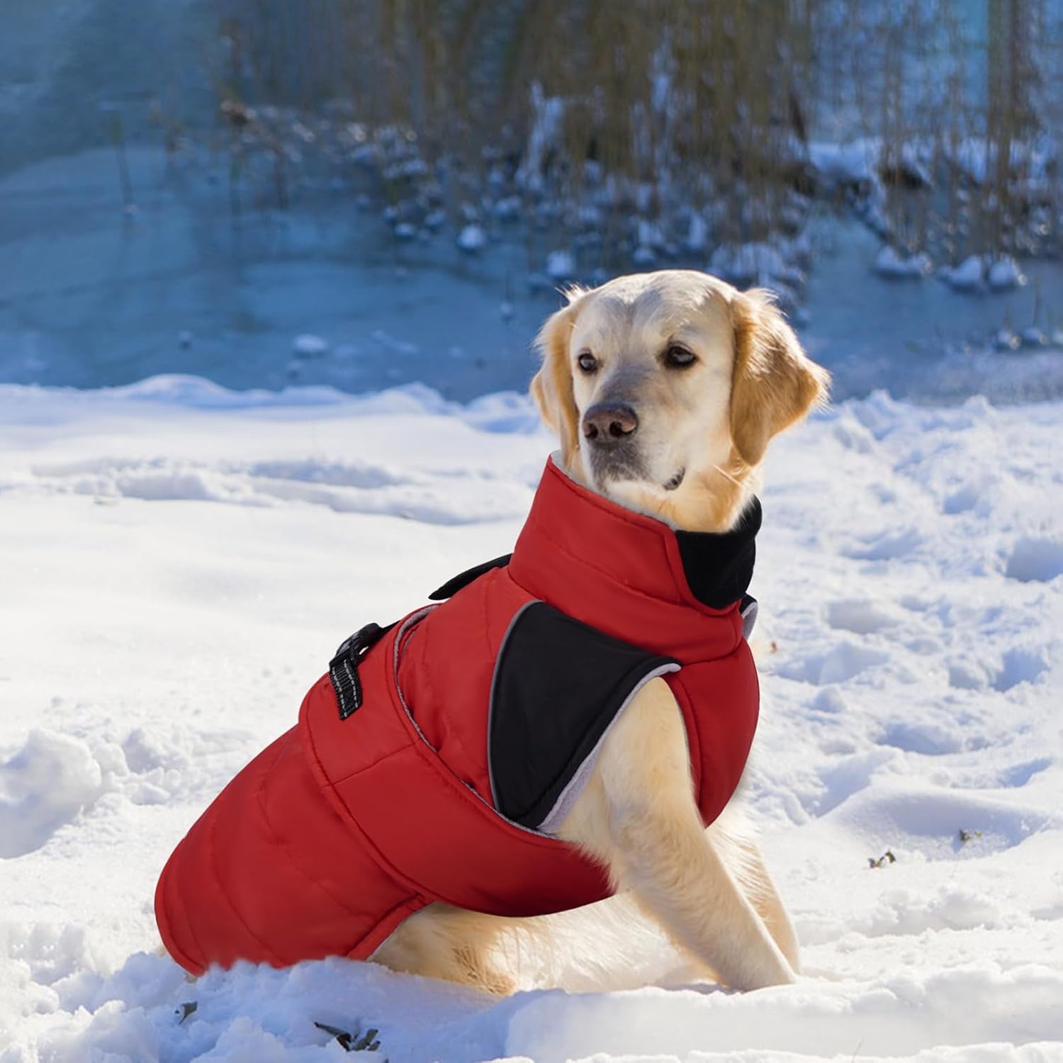 Thumbnail 6 de Lelepet dog winter coat fleece lined 7 sizes