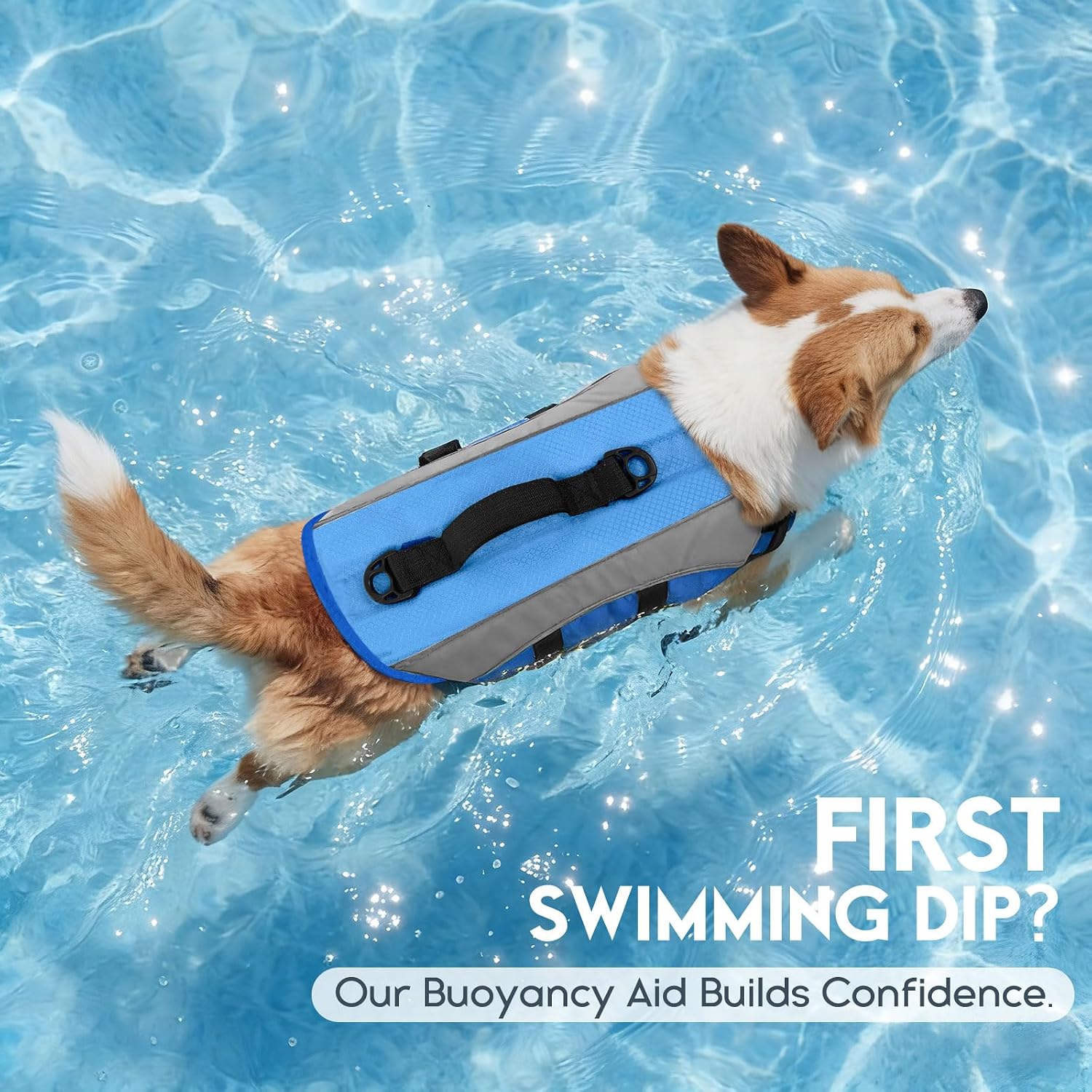 Thumbnail 6 de ASENKU Dog Life Jacket XL