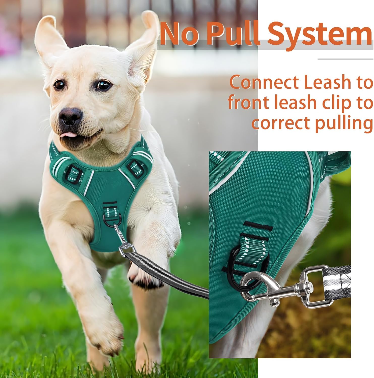 Detalle de HEELE No-Pull Dog Harness for Medium Dogs with Padded Handle – Reflective, Grass Green, Size L