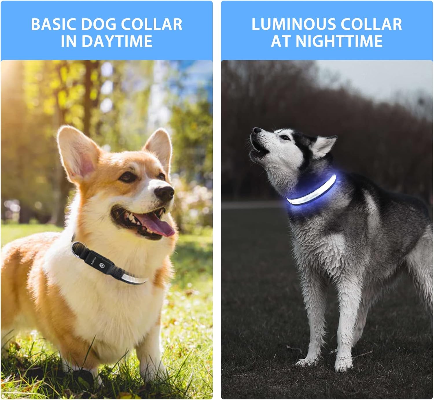 Detalle de PcEoTllar Collar Luz para Perro recargable 11 h