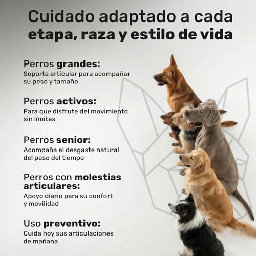 Thumbnail 7 de Condroprotector para Perros de Natuva Pets: Glucosamina, Condroitina, MSM y Ácido Hialurónico en 120 Masticables