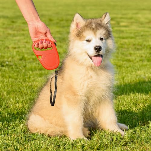 Detalle de Ferplast Flippy One Cord S correa retráctil 4,5 m para perros