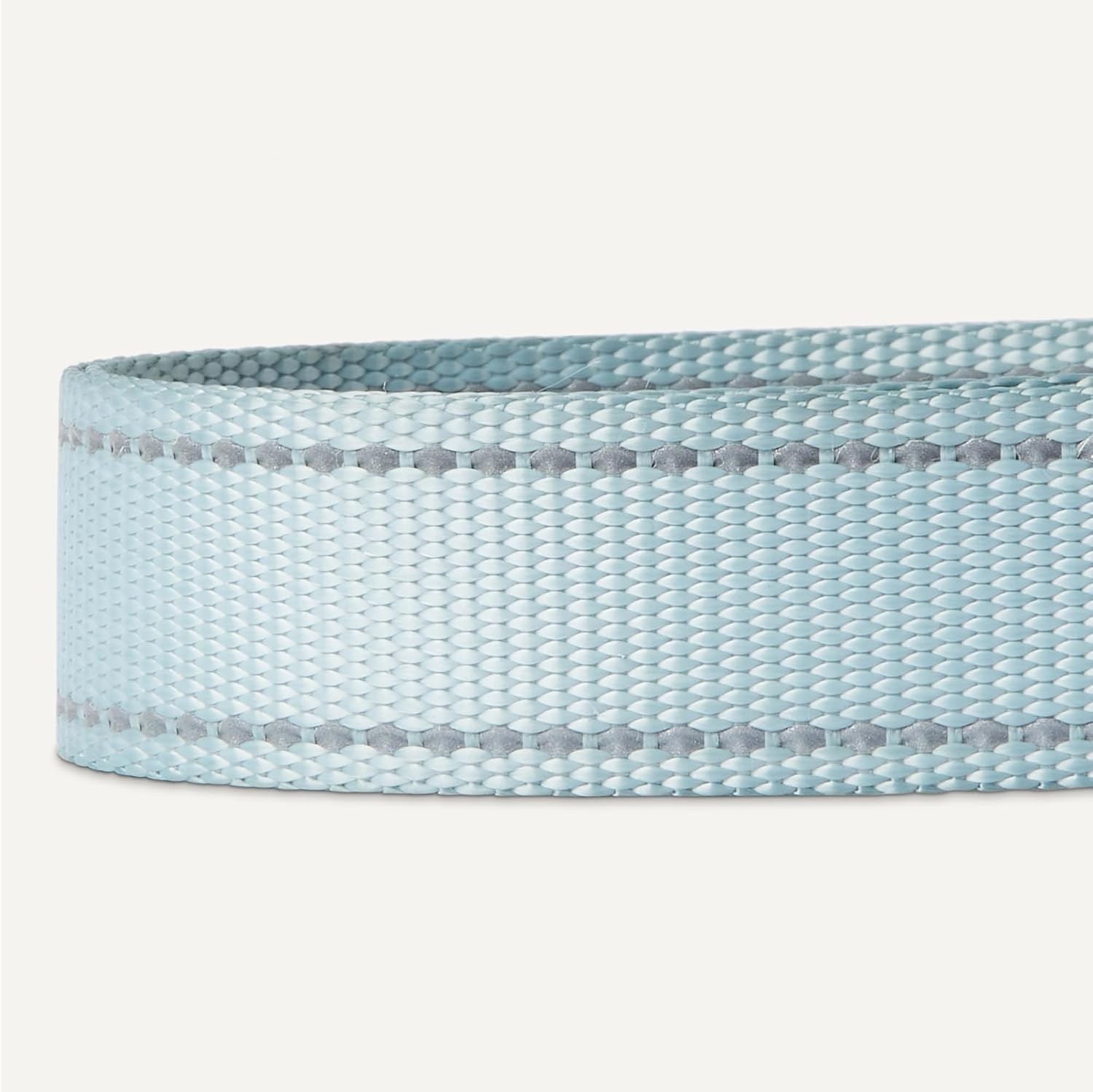 Detalle de Amazon Basics Collare Riflettente e Regolabile per Cani – Taglia XL, Blu con Anello in Metallo e Fibbia a sgancio rapido