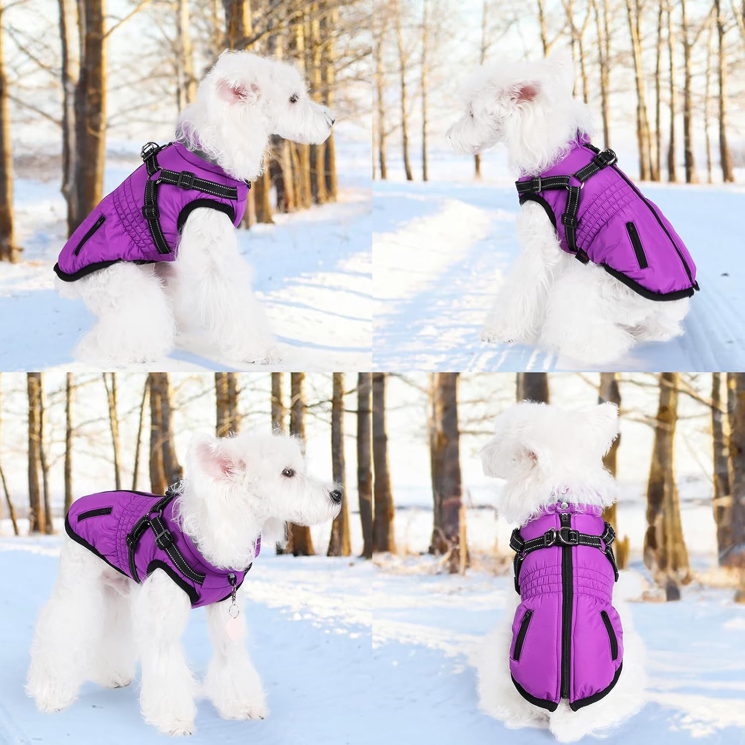 Detalle 2 de Poseca Dog Coat with Harness Waterproof jacket for dogs