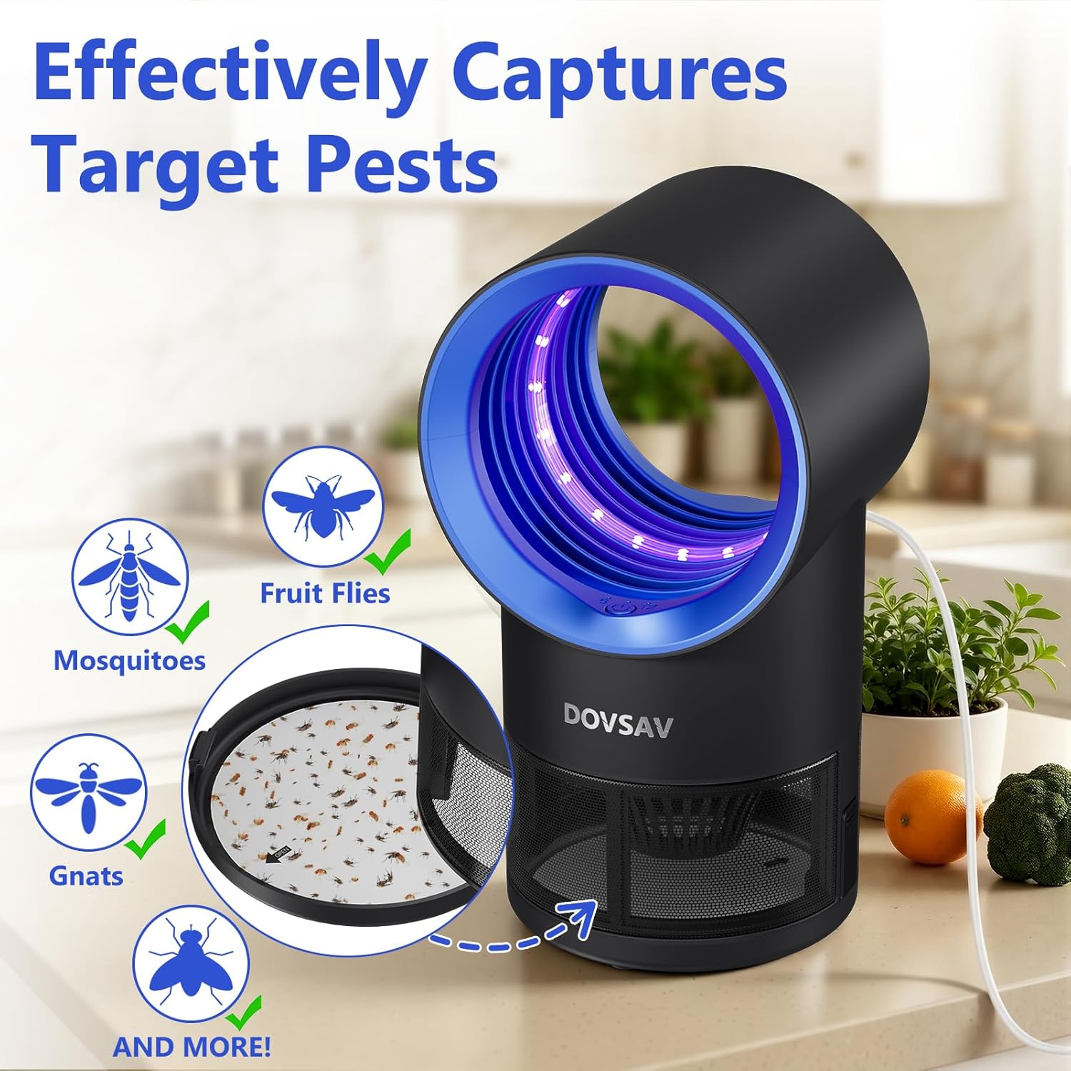 Detalle 2 de DOVSAV 2605 Indoor Fruit Fly Trap with UV Light, Suction Fan & Timer