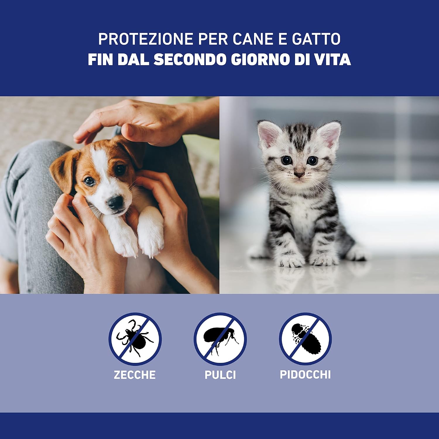 Detalle de FRONTLINE Spray 100 ml: antiparassitario per cani e gatti dalla seconda giorno di vita