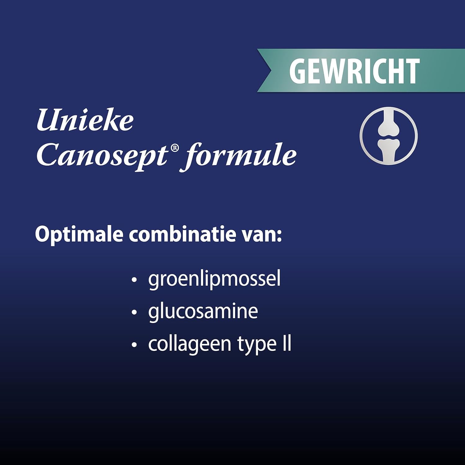 Thumbnail 2 de Canosept – Comprimés articulaires pour chiens (80 comprimés) – Moules vertes, glucosamine et oméga-3