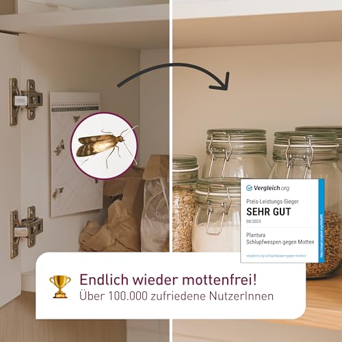 Detalle 2 de Plantura Schlupfwespen gegen Lebensmittelmotten, 9 Karten – natürliche Lösung für Mottenprobleme
