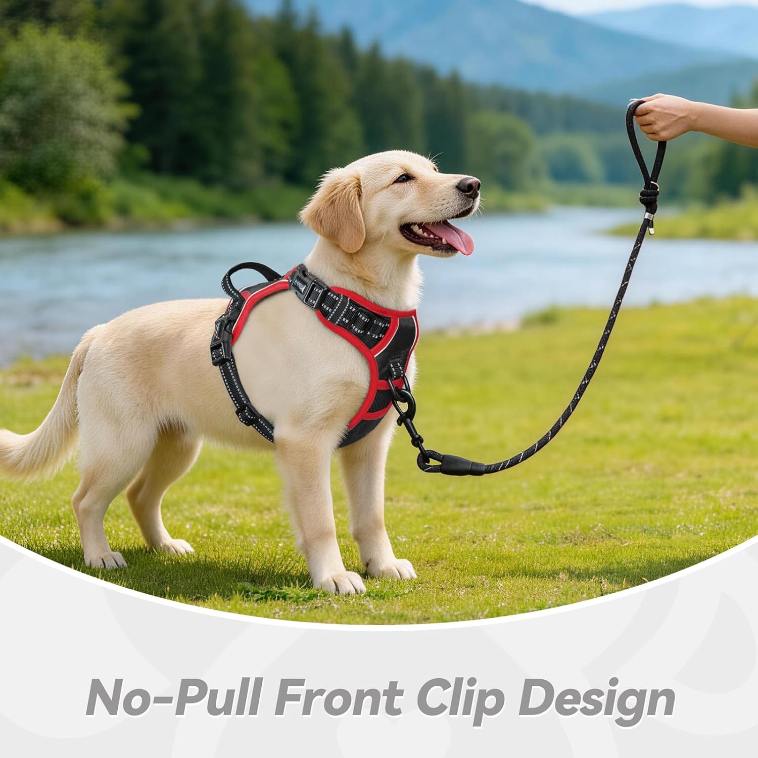 Thumbnail 5 de PHOEPET No Pull Dog Harness with Reflective Strips – Adjustable Vest for Small to Large Dogs