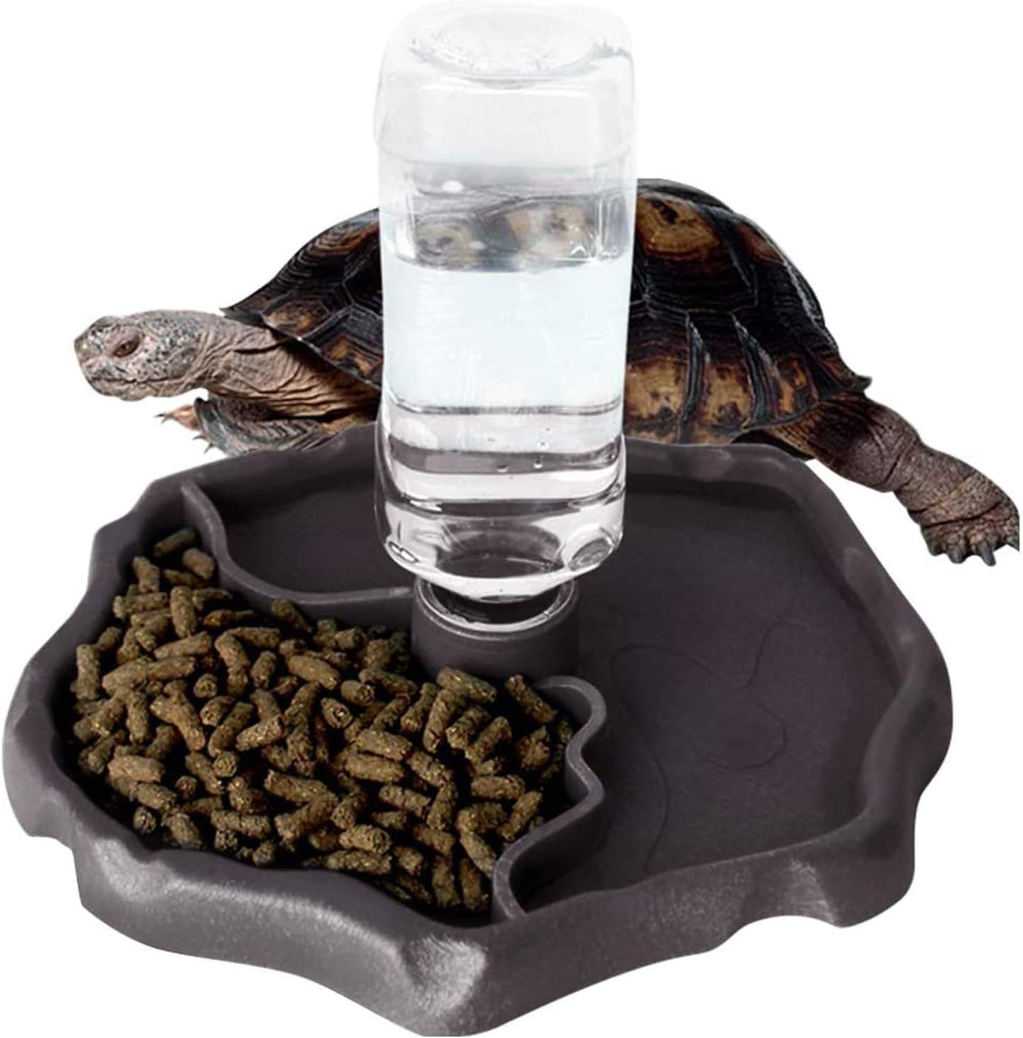 Thumbnail 6 de QIODAZOO Näpfe für Reptilien 200 ml 🐢