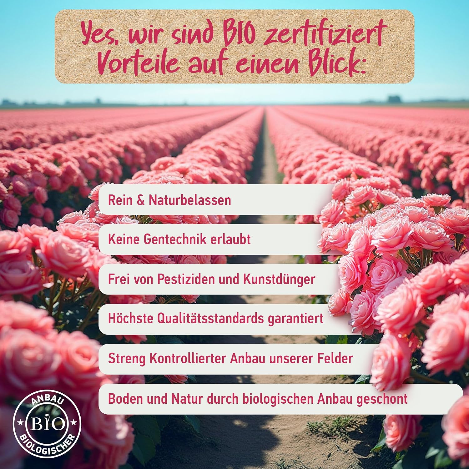 Thumbnail 2 de 100% BIO ROSENWASSER (Rosa Damascena) – natürliches Gesichtswasser zur sanften Reinigung von Gesicht, Körper & Haar