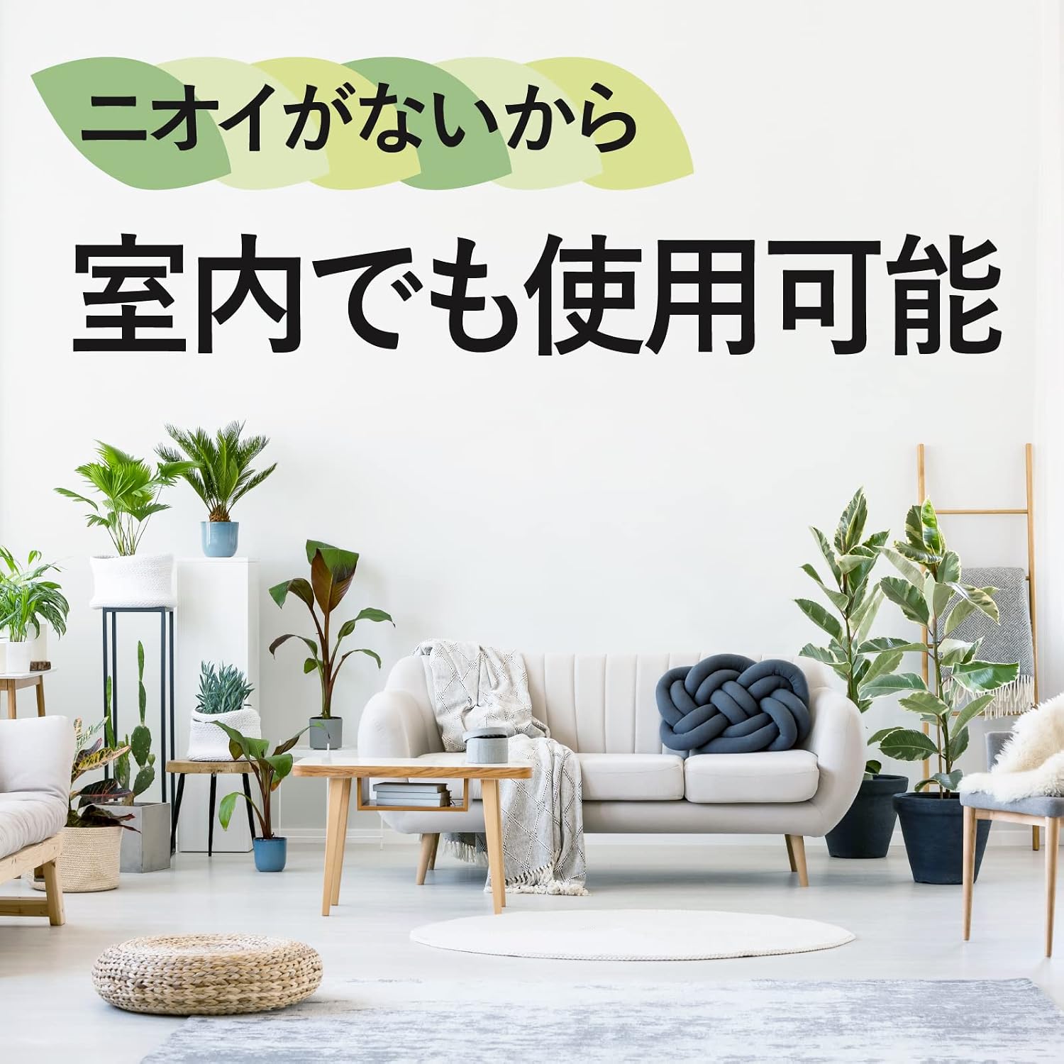 Thumbnail 4 de アースガーデン 土からわいたコバエ退治 土に挿す粘着剤タイプ 12個入