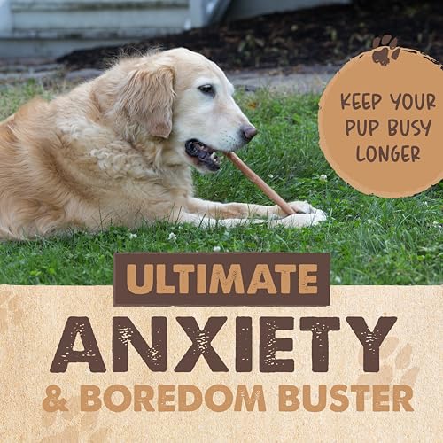 Thumbnail 8 de Mighty Paw 12" Bully Sticks for Dogs - Large, Medium and Small Breeds Chew