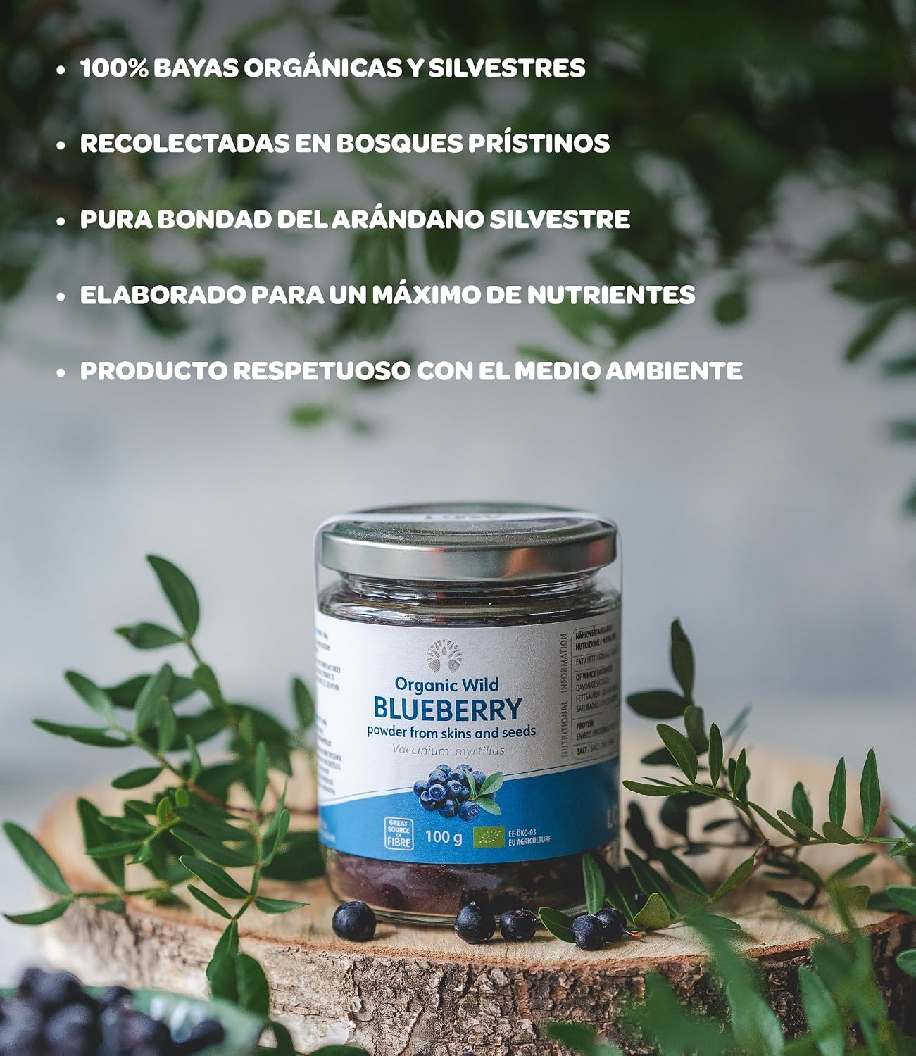 Detalle 2 de LOOV Polvo de Arándano Silvestre Orgánico 🍇 100g