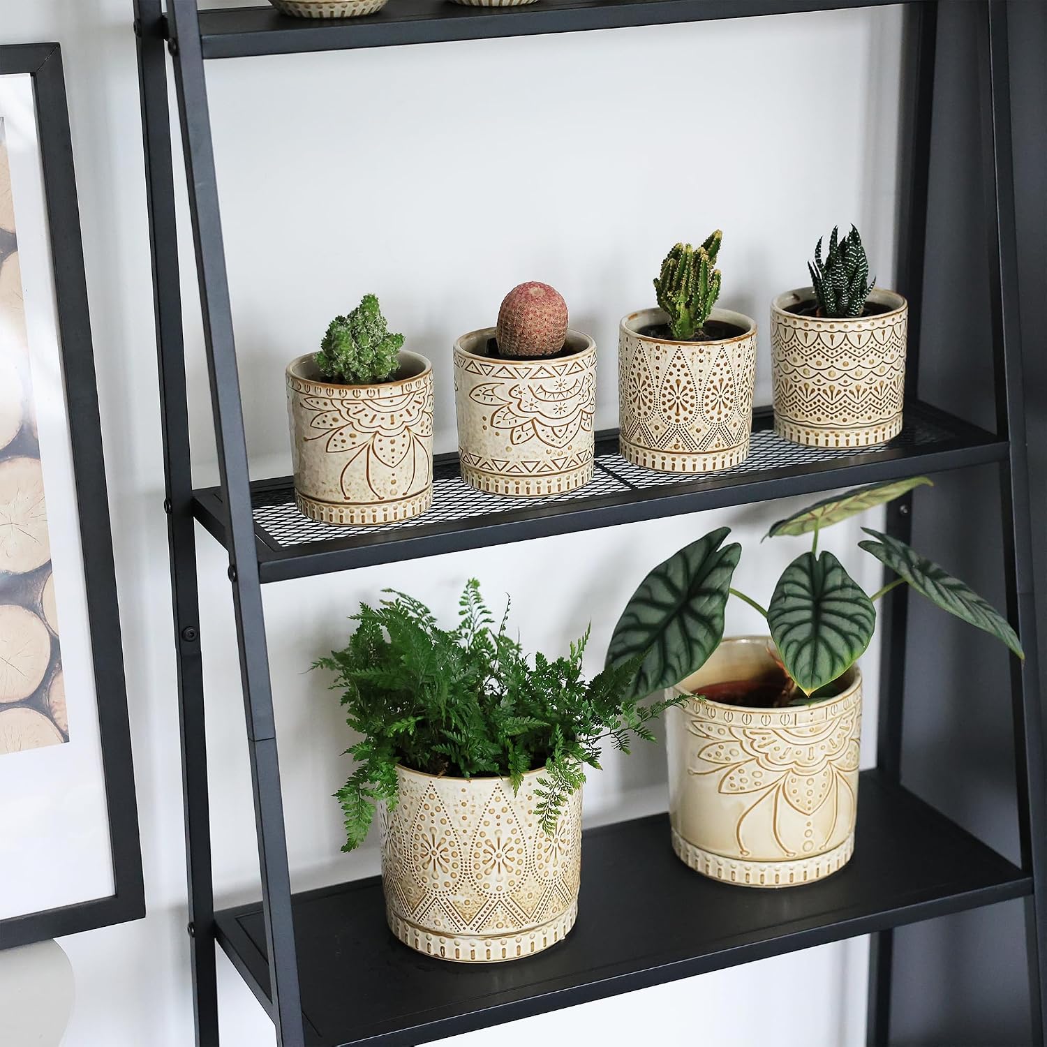 Detalle de Gepege 4-Inch Ceramic Succulent Pots, Set of 4 with Drainage Holes and Saucers
